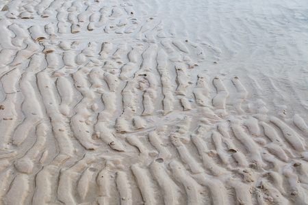 在海滩上的沙子曲线纹理
