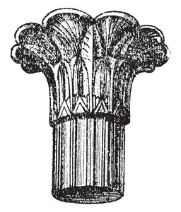资本与棕榈, 顶, 专栏, 存在, 托勒密, 期间, 埃及, 复古线图画或雕刻例证