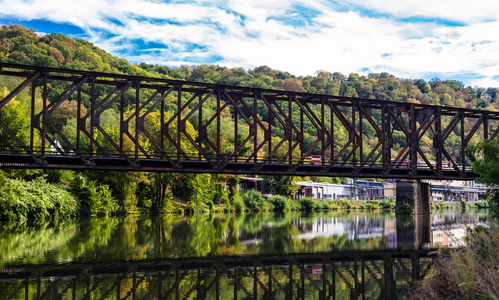 秋季颜色树背景下森林河道上的金属铁路桥梁