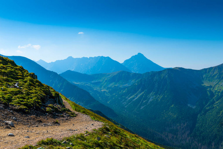 阳光明媚的夏日, 在 Tatra 山脉的高山上, 波兰