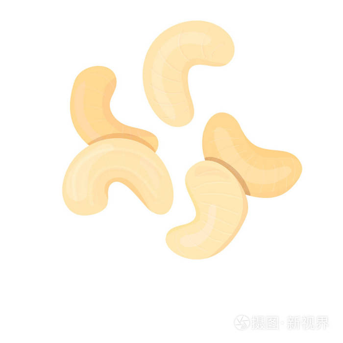 插画 白色背景下的腰果抽象向量插图全熟的白色和褐色腰果 用于标签