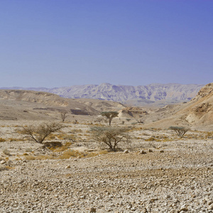 在以色列南沙漠的岩石丘陵无限幻想。壮观的风景和中东的性质