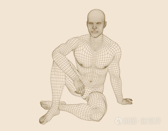 线框图人体.矢量轮廓图.前视图