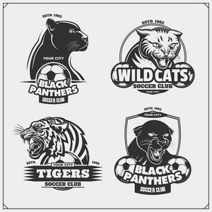 一套足球徽章徽章标志和标志与老虎豹和野猫