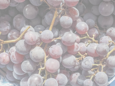 红葡萄 欧亚种葡萄 水果, 健康素食, 细腻柔和褪色色调作为背景有用