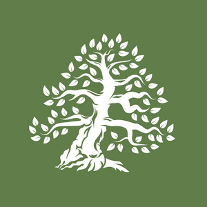 有机天然和健康的橄榄树剪影标志隔离在绿色背景。现代矢量绿色植物图标标志设计图稿。优质油品标识平会徽插图