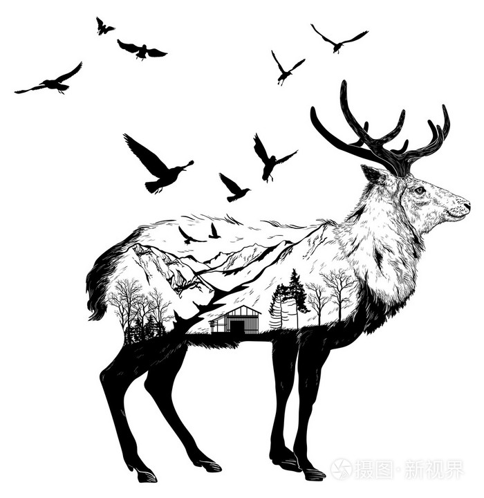 您设计 野生动物概念的手绘鹿