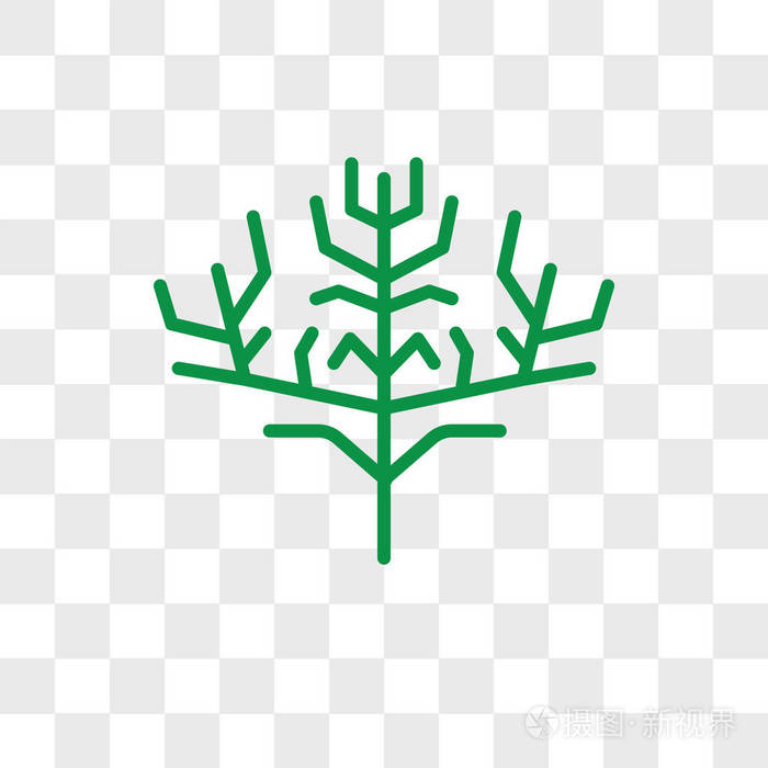 cyp 在透明背景下被隔离的柏树叶矢量图标