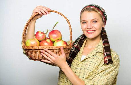 妇女欢快地运载篮子与自然果子。女园丁质朴的风格举行篮子与苹果的收获在光的背景。自然礼物概念。夫人农夫或园丁为她的收获骄傲