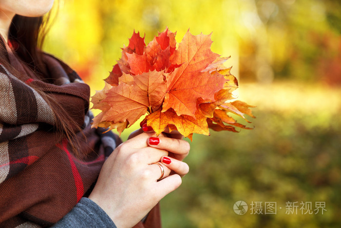 秋天的枫叶明亮束叶在女性手中
