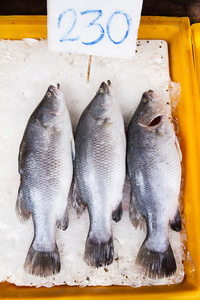 海水鱼的新鲜市场在渡轮的 Angsila，Choburi，泰国
