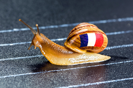 蜗牛在法国体育旗下跟踪图片
