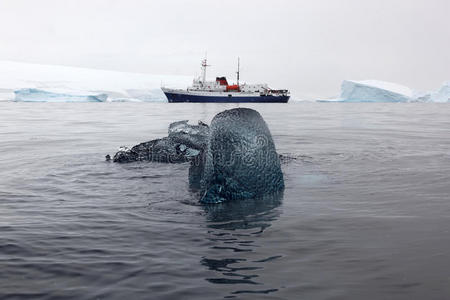 南极洲黑冰块，背景是研究船