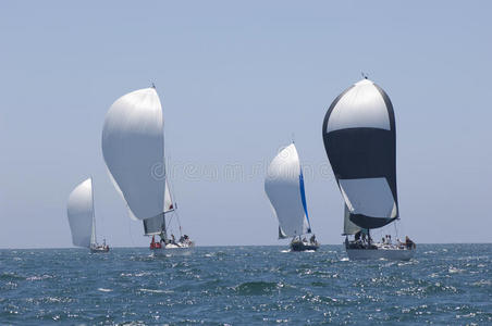 游艇参加团体帆船比赛