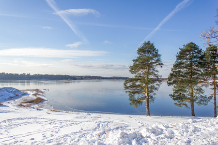 冬季湖泊和树图片