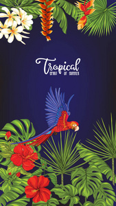 模板海报, 横幅, 明信片与热带花卉和植物和鹦鹉鸟在黑色的背景。股票矢量图