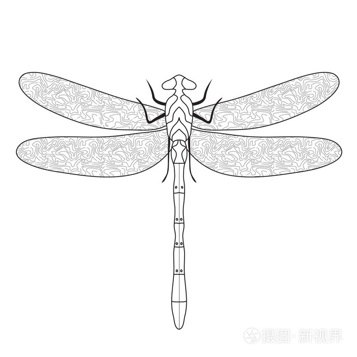 蜻蜓涂鸦素描着色,蜻蜓手绘.矢量图