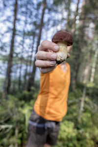在他的手可爱可食用的蘑菇 牛肝菌 closeu 持有人