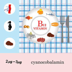 维生素 B12 营养信息图表