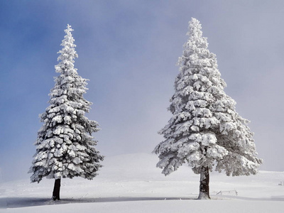 雪霜覆盖的树木和山脉的冬季景观