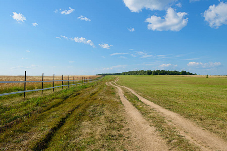 夏日阳光明媚的一天, 沿着篱笆的绿色田野里的泥土路