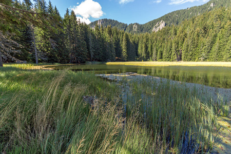 保加利亚斯莫梁地区 Rhodope 山草 Trevistoto 斯莫梁湖的惊人景观