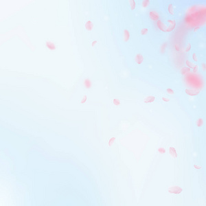 樱花花瓣落下。浪漫的粉红色花角。蓝天上的背景广场上的飞翔花瓣