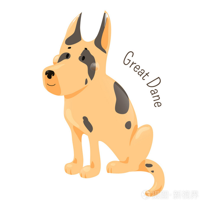 大丹犬隔离.大型的品种,家养的狗