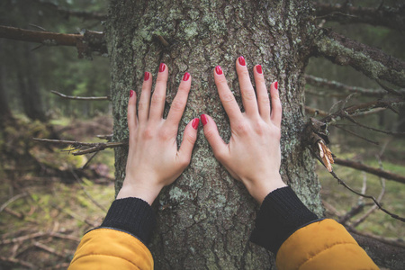 女性手触树树皮在自然图片