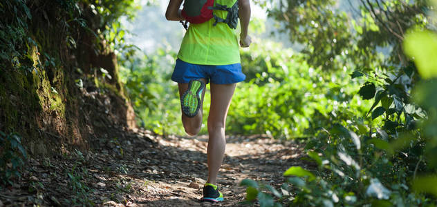 年轻的健身女工跑在阳光明媚的森林