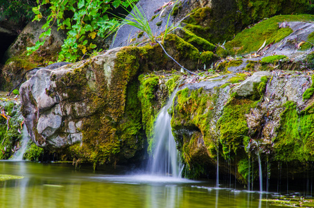 Waterfallin 野外