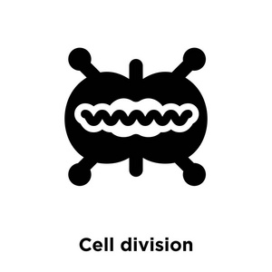 细胞分裂图标向量被隔离在白色背景上, 标志概念的细胞分裂标志上透明背景, 实心黑色符号