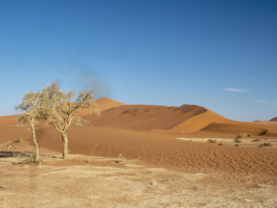 纳米比亚Sossusvlei风力模型砂