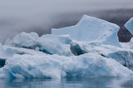 Narsarsuaq 格陵兰的蓝冰冰山