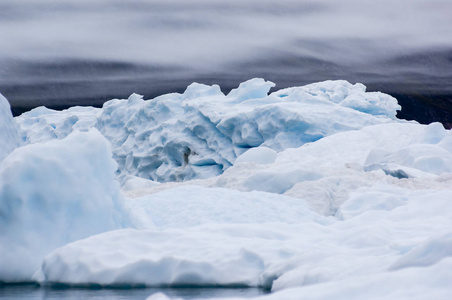 Narsarsuaq 格陵兰的蓝冰冰山