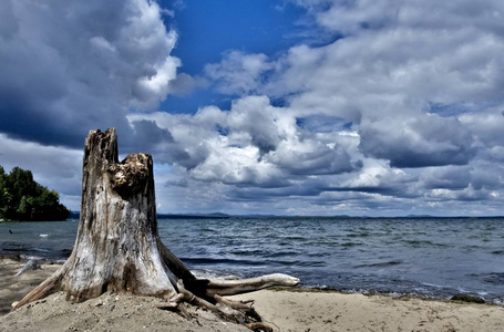 老木树桩在湖面上, 在乌云密布的天空下, 南乌拉尔, Uvildy, 在远处被看见乌拉尔山脉