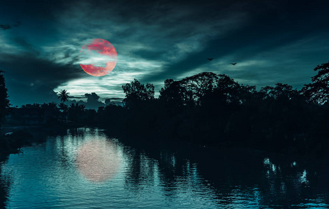 美丽的夜空和红月亮或血月的风景在河滨的树剪影上面部分多云。宁静自然背景, 夜间户外。用我的相机拍摄的月亮