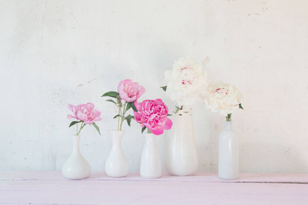 在白色背景上的花瓶牡丹