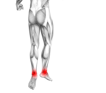概念脚踝人体解剖学与红色热点炎症或关节关节疼痛的腿保健治疗或运动肌肉的概念。3d. 图示人关节炎或骨质疏松症