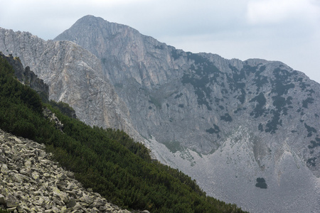 景观的悬崖的 Sinanitsa 峰值，皮林山