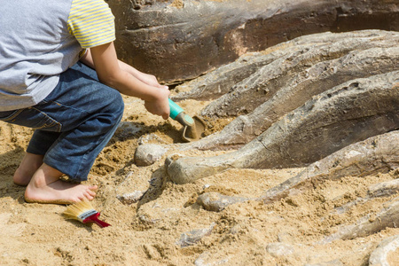 儿童学习, 挖掘恐龙化石模拟在公园曼谷 Thaiand