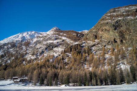 在雪地里山风景