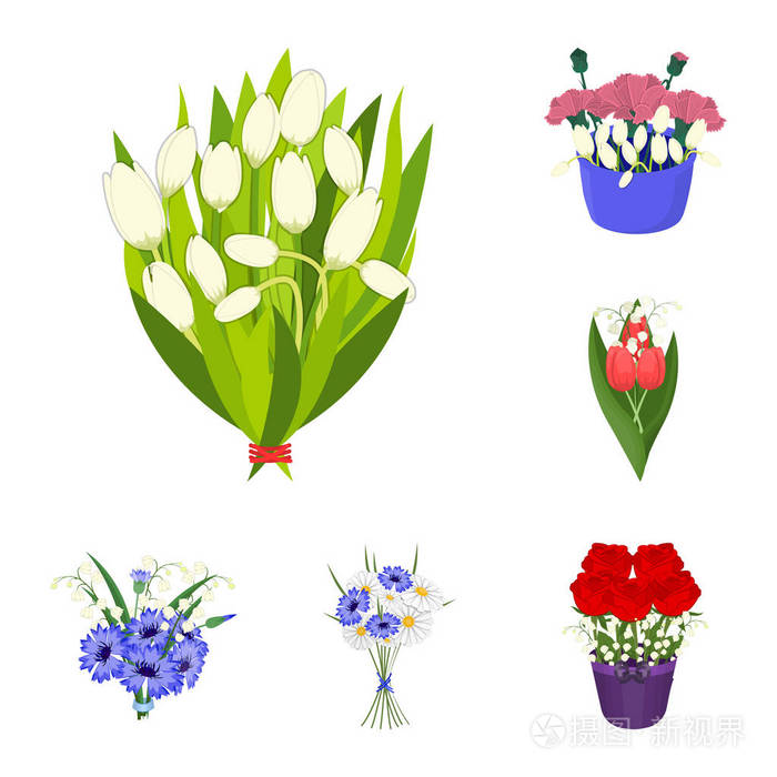 各种花束矢量符号股票
