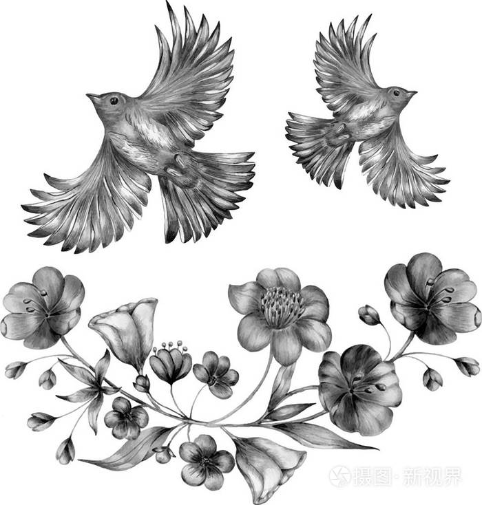 单色花束与鸟.线条图, 墨迹绘图