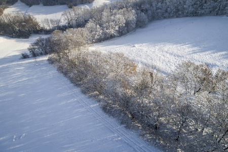 阳光明媚的冬日白雪覆盖森林的鸟瞰图