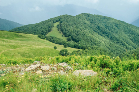 乌克兰夏季绿色的山脉。天空越过群山。乘吉普车旅行时的大气景观。越野远征