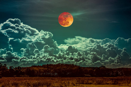 美丽的乡村地区在晚上。有吸引力的红血月亮在黑暗的天空与多云以上的树木剪影。宁静的自然背景。用我的相机拍摄的月亮