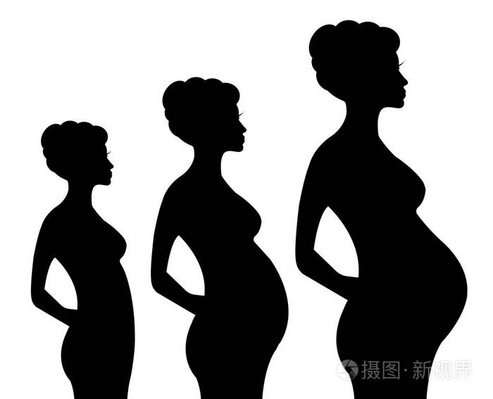 怀孕妇女剪影向量例证被隔绝在白色背景, 晚期怀孕