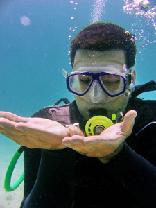 水下潜水潜水员 echinus, 埃拉特, 红海, 以色列