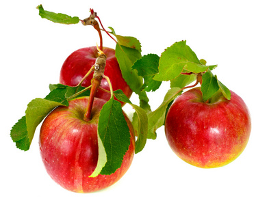 孤立在白色背景上的新鲜甜美味红苹果